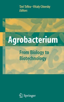 Agrobacterium: From Biology to Biotechnology - Tzfira, Tzvi / Citovsky, Vitaly (eds.)