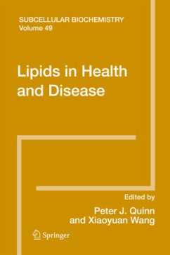 Creatine and Creatine Kinase in Health and Disease - Salomons, Gajja S. / Wyss, Markus (eds.)