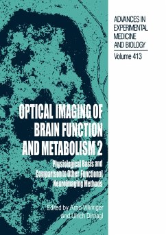 Cover Optical Imaging of Brain Function and Metabolism 2