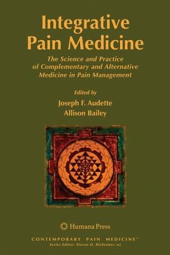 Integrative Pain Medicine - Audette, Joseph F. / Bailey, Allison (eds.)
