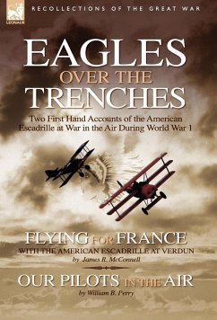 Eagles Over the Trenches