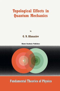 Topological Effects in Quantum Mechanics - Afanasiev, G. N.