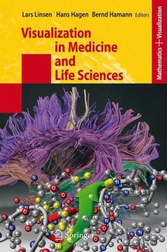 Visualization in Medicine and Life Sciences - Linsen, Lars / Hagen, Hans / Hamann, Bernd (eds.)