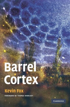 Barrel Cortex - Fox, Kevin