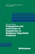 Propagation and Interaction of... - Bild 1
