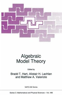 Algebraic Model Theory (Nato Science Series C:, 496)