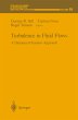 Turbulence in Fluid Flows - Bild 1