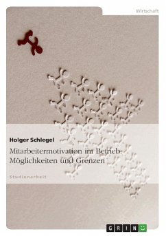 Mitarbeitermotivation im Betrieb: Möglichkeiten und Grenzen - Schlegel, Holger