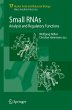 Small RNAs: - Bild 1