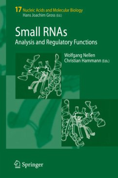 Small RNAs: - Nellen, Wolfgang / Hammann, Christian (eds.)