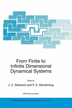 From Finite to Infinite Dimensional Dynamical Systems - Robinson