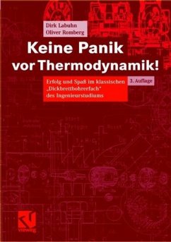 Keine Panik vor Thermodynamik! - Labuhn, Dirk / Romberg, Oliver
