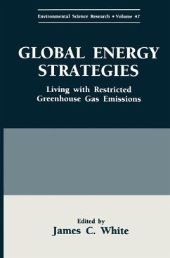 Global Energy Strategies - White, James C. (ed.)