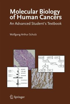 Molecular Biology of Human Cancers - Schulz, Wolfgang Arthur