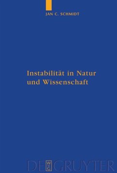 Instabilität in Natur und Wissenschaft - Schmidt, Jan Cornelius