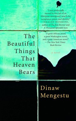 The Beautiful Things That Heaven Bears - Mengestu, Dinaw