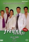 In aller Freundschaft - 6. Staffel