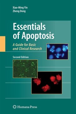 Essentials of Apoptosis - Yin, Xiao-Ming / Dong, Zheng (ed.)