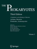 Archaea. Bacteria: Firmicutes, Actinomycetes / The Prokaryotes Vol.3