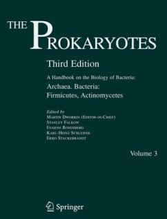 Archaea. Bacteria: Firmicutes, Actinomycetes / The Prokaryotes Vol.3 - Dworkin, Martin (Ed.-in-chief) / Falkow, Stanley / Rosenberg, Eugene / Schleifer, Karl-Heinz / Stackebrandt, Erko