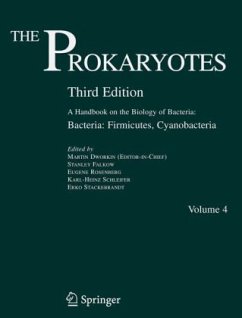 Bacteria: Firmicutes, Cyanobacteria / The Prokaryotes 4 - Dworkin, Martin (Ed.-in-chief) / Falkow, Stanley / Rosenberg, Eugene / Schleifer, Karl-Heinz / Stackebrandt, Erko