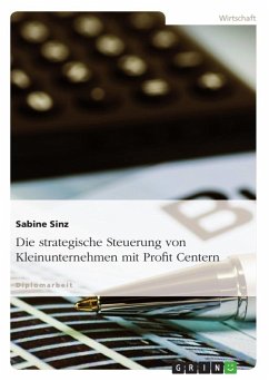 Die strategische Steuerung von Kleinunternehmen mit Profit Centern - Sinz, Sabine