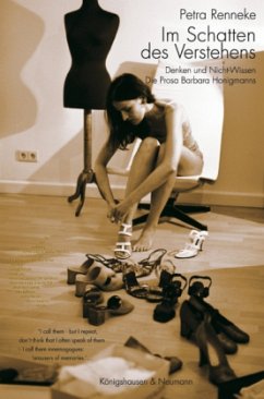 Cover Im Schatten des Verstehens