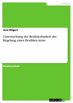 Untersuchung der Realisierbarkeit der Regelung eines flexiblen Arms - Hilgert, Jens