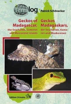Geckos Madagaskars, der Seychellen, Komoren und Maskarenen. Geckos of Madagascar, the Seychelles, Comoros and Mascarene - Schönecker, Patrick