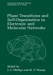 Phase Transitions and Self-Organization... - Bild 1