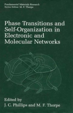 Phase Transitions and Self-Organization in Electronic and Molecular Networks - Phillips, J.C. / Thorpe, M.F. (Hgg.)