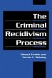 The Criminal Recidivism Process - Bild 1