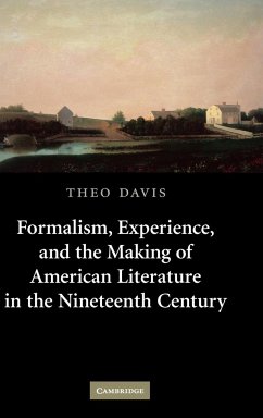 Formalism, Experience, and the Making of American Literature in the Nineteenth Century - Davis, Theo