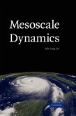 Mesoscale Dynamics