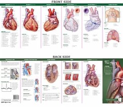Anatomical Chart Company's Illustrated Pocket Anatomy: Anatomy of the Heart Study Guide - ACC