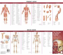 Anatomical Chart Company's Illustrated Pocket Anatomy: The Muscular & Skeletal Systems Study Guide - ACC