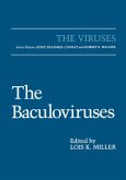 The Baculoviruses