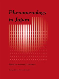 Phenomenology in Japan - Steinbock