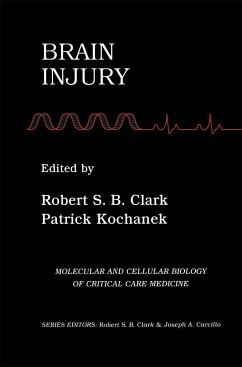 Brain Injury - Clark, Robert S.B. / Kochanek, Patrick (Hgg.)
