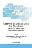 Catalysis by Unique Metal Ion Structures in Solid Matrices