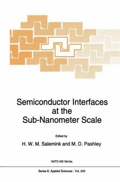 Semiconductor Interfaces at the Sub-Nanometer Scale - Salemink, H.W.M / Pashley, M.D. (Hgg.)