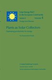 Plants as Solar Collectors: Optimizing Productivity for Energy