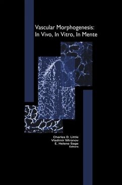 Vascular Morphogenesis: In Vivo, in Vitro, in Mente - Little, Charles D / Mironov, Vladimir / Sage, E Helene