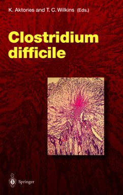 Clostridium difficile - Aktories, Klaus / Wilkins, Tracy D. (eds.)