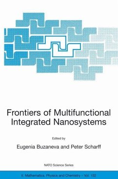 Frontiers of Multifunctional Integrated Nanosystems - Buzaneva