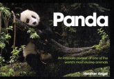 Panda: An Intimate Portrait of One of the World's Most Elusive Creatures