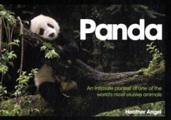 Panda: An Intimate Portrait of One of the World's Most Elusive Creatures - Angel, Heather