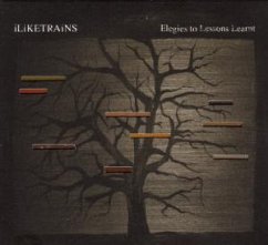 Cover Elegies to Lessons Learnt