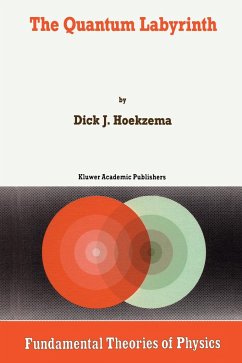 The Quantum Labyrinth - Hoekzema, D. J.