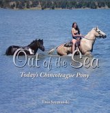 Out of the Sea, Today's Chincoteague Pony